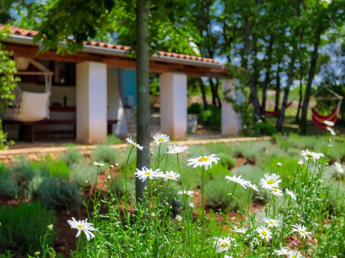 Holiday Home Country House D&D By Interhome Pola Esterno foto